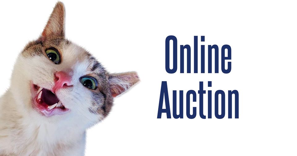 PAWS Benefit Auction