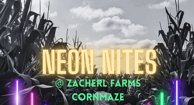 Zacheral Farms Neon Lights header